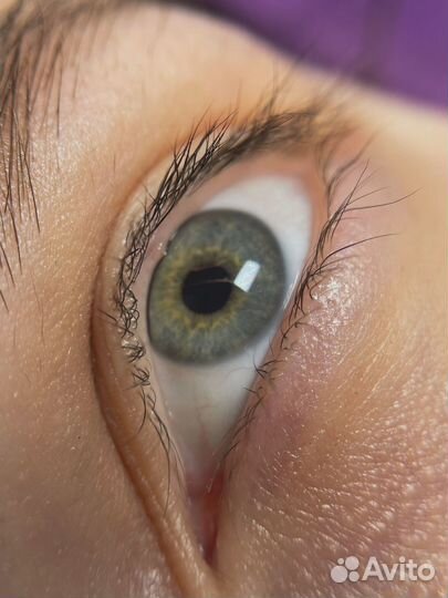 Мастер бровист