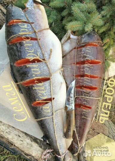 Форель/утка/баранина/перепела