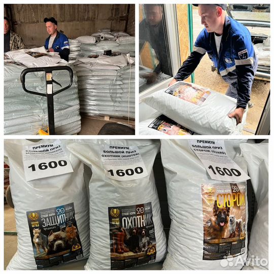 Корм сухой для собак социальная программа