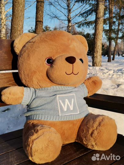 Плюшевый мишка