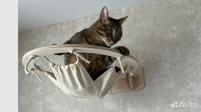 Домики на стену для кошачьих комплексов