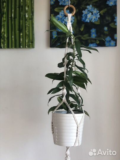 Подвесное Кашпо/Полка для цветов плетеная Макраме