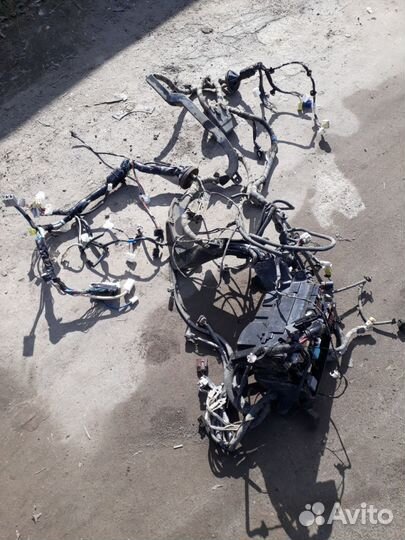 Проводка моторного отсека Toyota Corolla E15