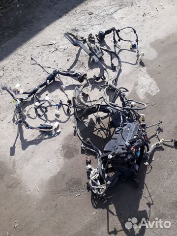 Проводка моторного отсека Toyota Corolla E15