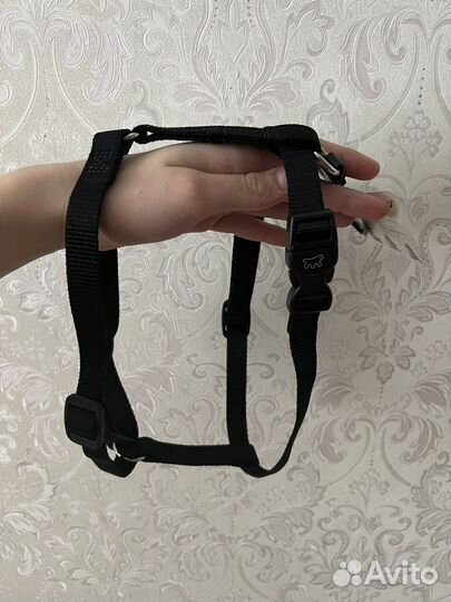 Шлейка для собаки Ferplast