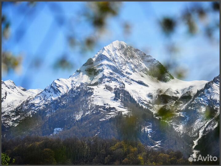 Авторские фотокартины и постеры