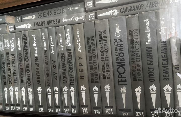 Книги из серии жзл