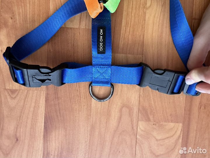 Шлейка для собак, поводок рулетка лента 5м