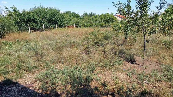 Участок 6 сот. (СНТ, ДНП)