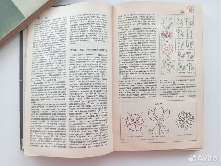 Биология справочные материалы