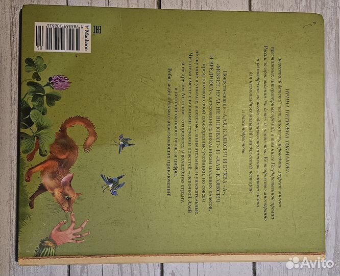 Ирина Токмакова книга