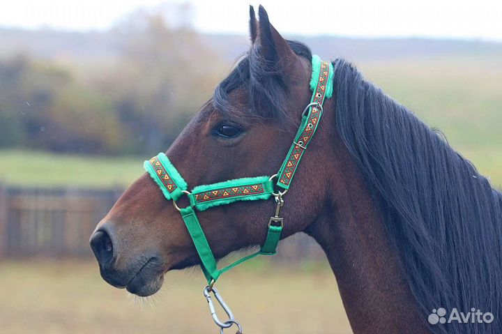 Конная амуниция готовая и на заказ