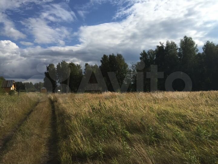 Участок 77 сот. (СНТ, ДНП)