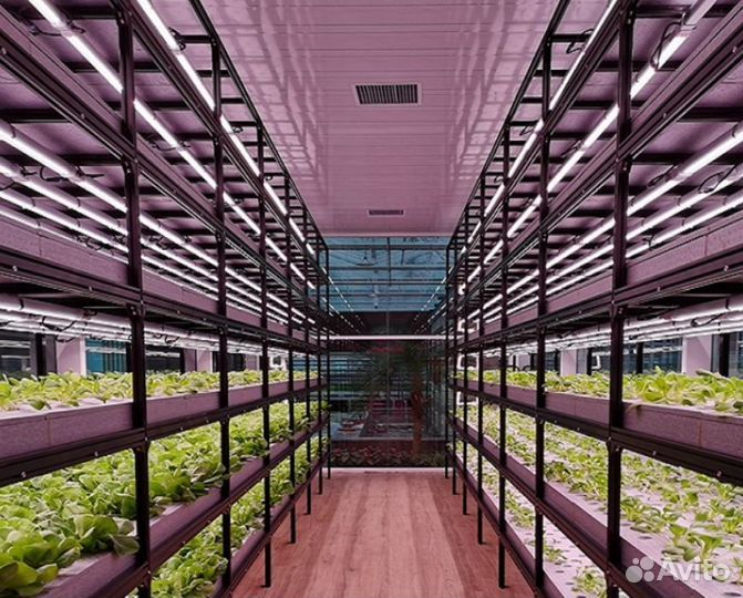 Фитолампы для микрозелени и зелени