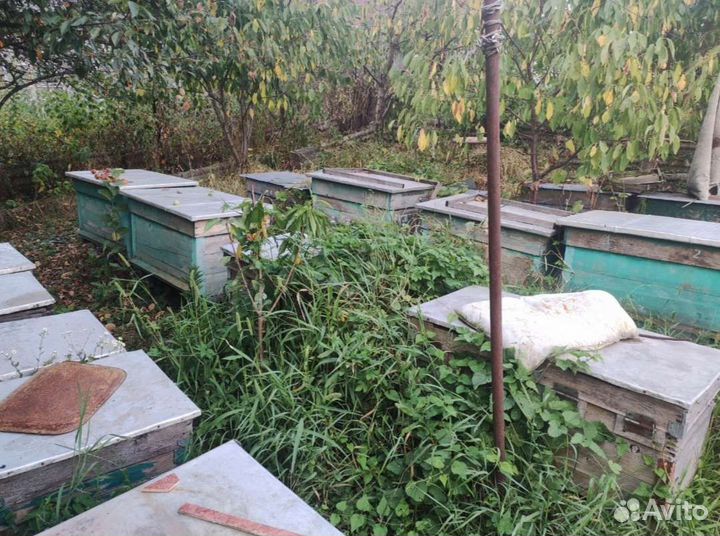 Ульи для пчел