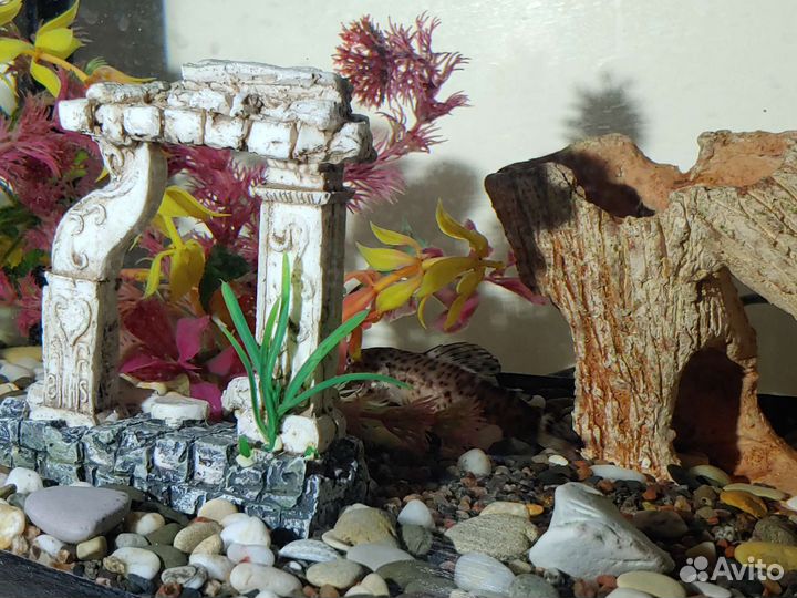 Аквариум Aquael