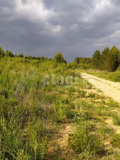 Участок 13 сот. (ИЖС)