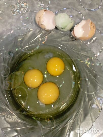 Домашние куриные яйца