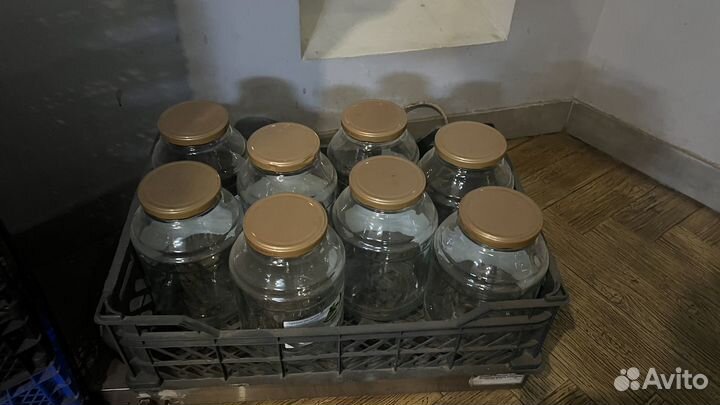 Банки стеклянные