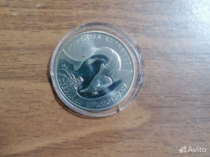 2 гривни 2012 год Стерлядь пресноводная