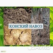 Конский навоз