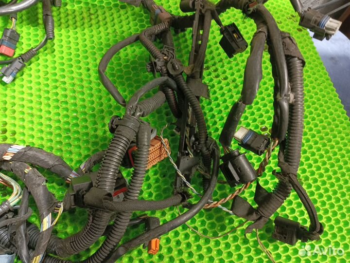 Проводка (коса) Ford Focus