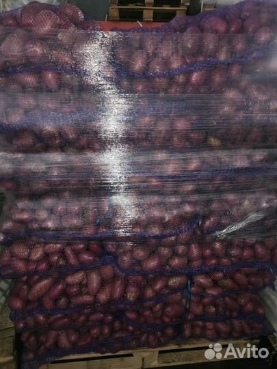 Продам картофель оптом и мелкий опт