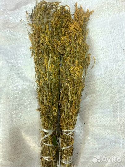 Веники для бани- донник