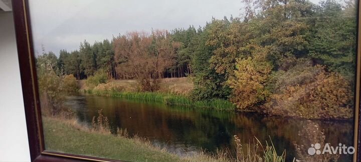 Картина фото