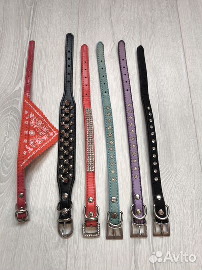 Ошейники для мелких собак, кошек