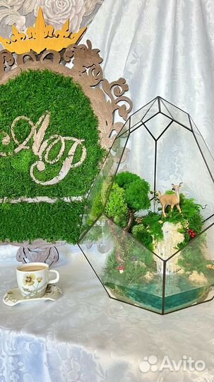 Моссариум. Подарок