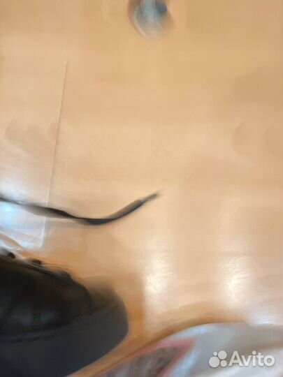 Кожаные кеды gucci унисекс