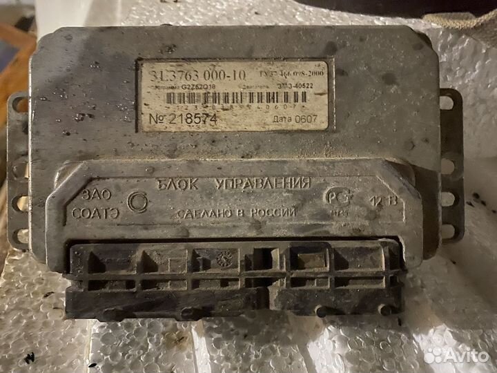 Мозги эбу на газель