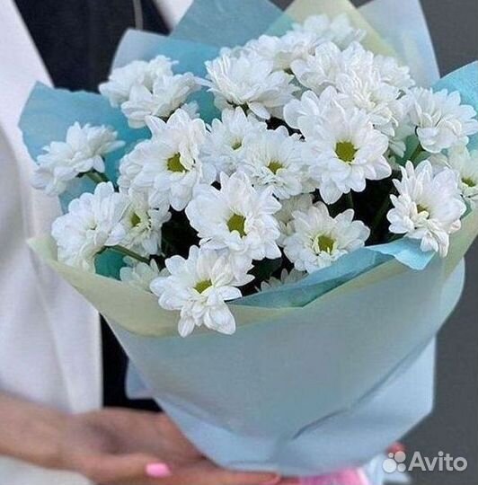 Хризантема