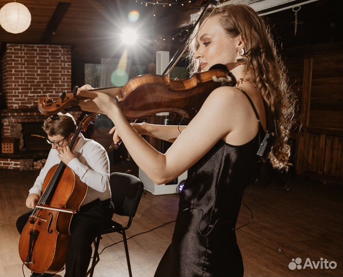 Музыканты, живая музыка, дуэт скрипка и виолончель