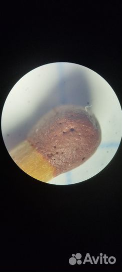 Микроскоп мбс 1.СССР