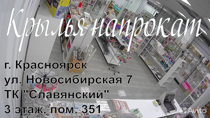 Сборная модель самолета 29 тип 9.13