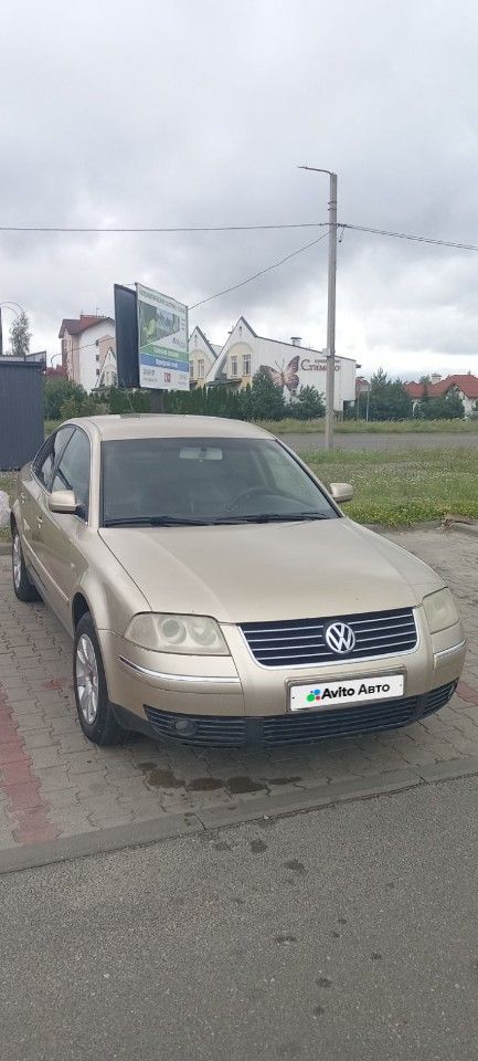 Volkswagen Passat: фото владельца