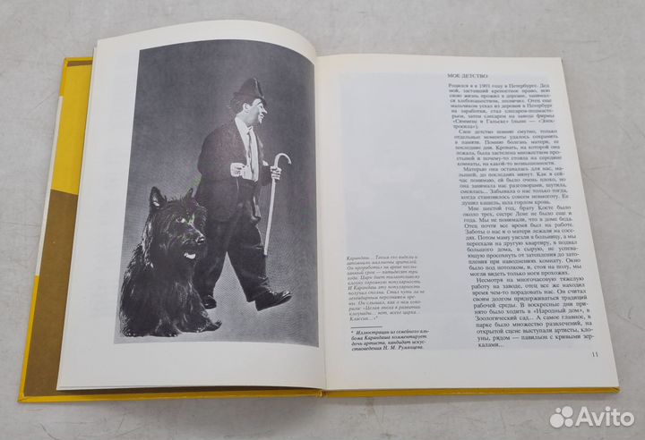 Над чем смеется клоун Румянцев Михаил Николаевич