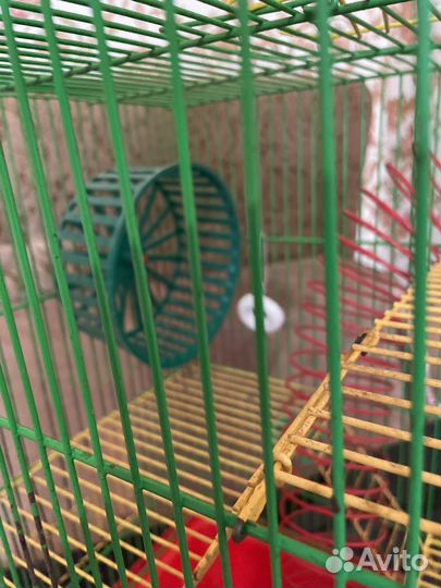 Клетка для грызунов