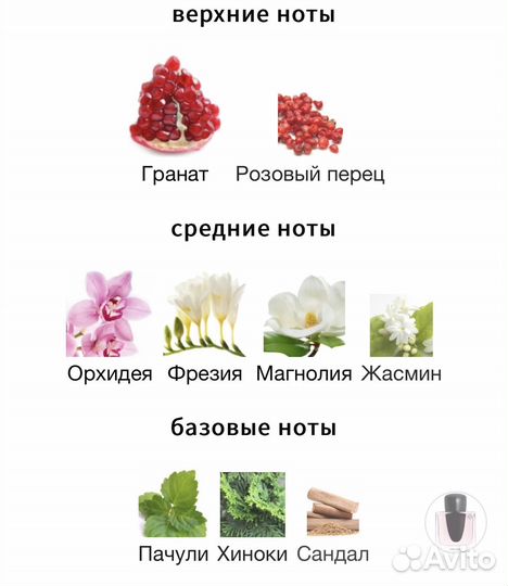 Ginza Shiseido 20 мл