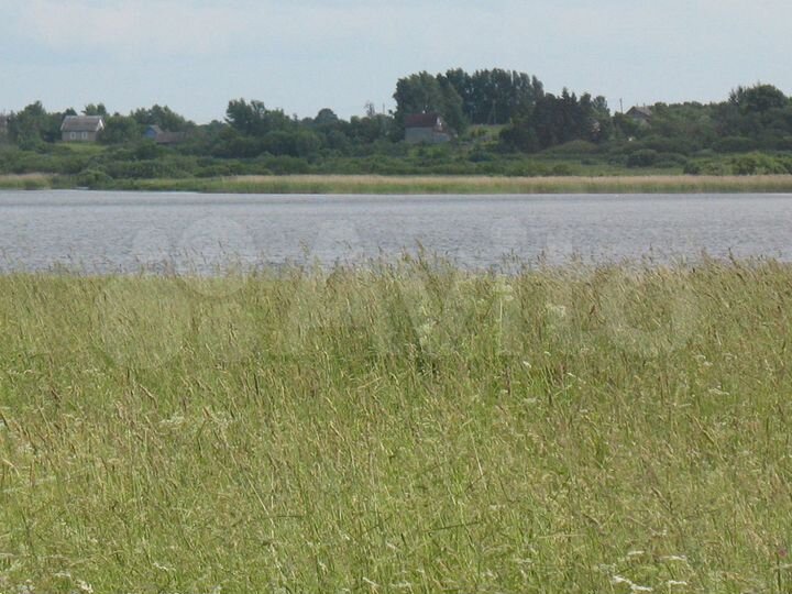 Участок 3 га (СНТ, ДНП)