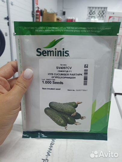 Семена огурец св4097цв гибрид 1 000с Семинис