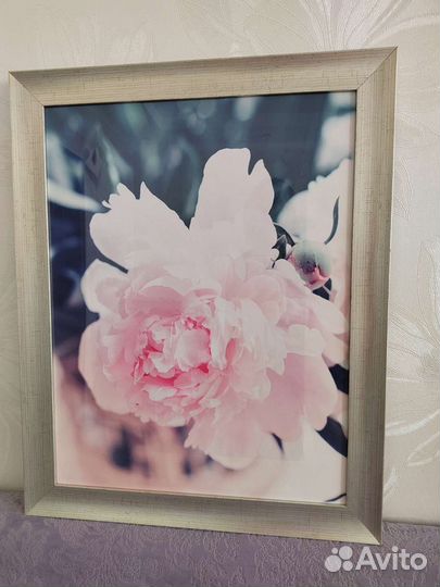 Картины 3 шт