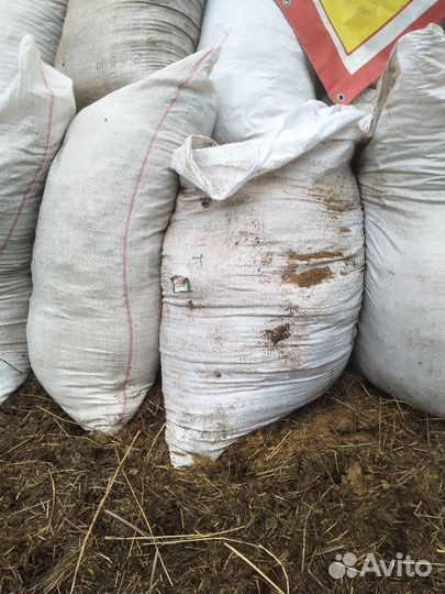 Продам конский навоз