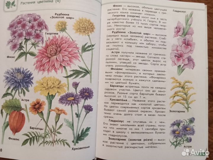 Атлас-определитель От земли до неба Плешаков