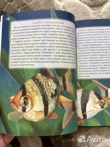 Энциклопедия аквариумные рыбки