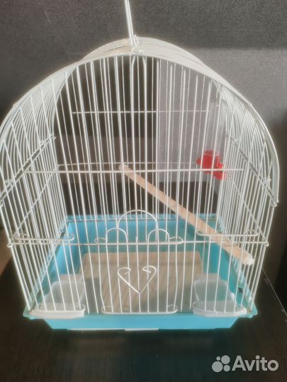 Клетка для попугая