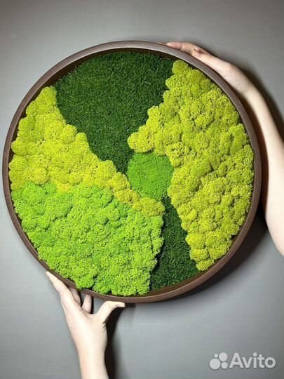 Панно из микса мхов