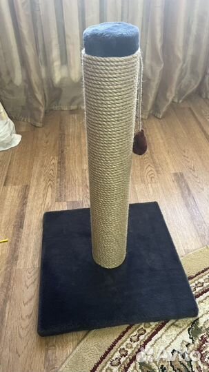 Когтеточка